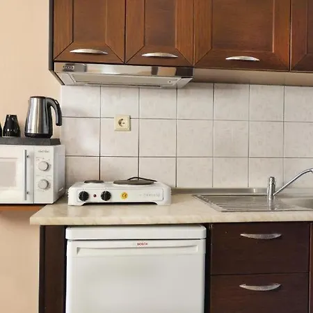 House Chrysoula Mitsokopi Apartment Sarti Exterior photo