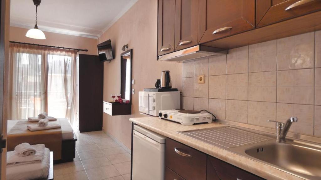 House Chrysoula Mitsokopi Apartment Sarti